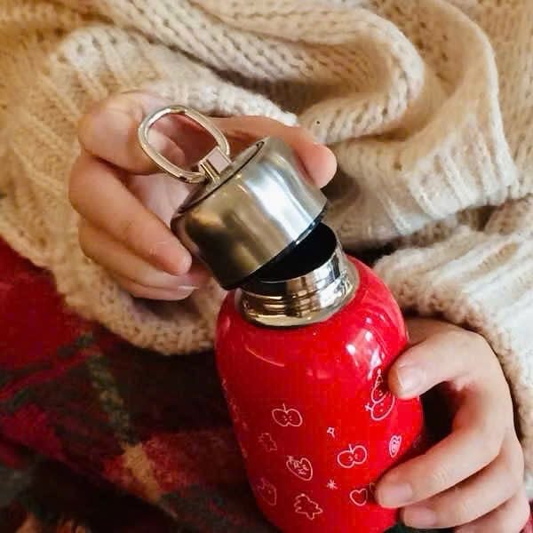 BÌNH GIỮ NHIỆT INOX NOEL 300ML