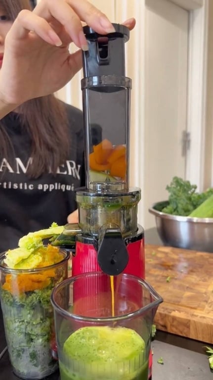 Máy ép chậm mini 3s Lazychef