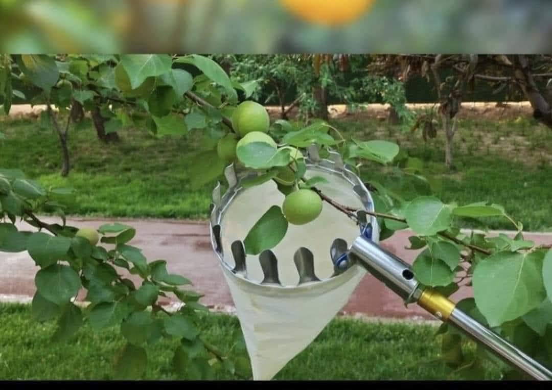 Vợt Hái Trái Cây Đa Năng Tiện Dụng