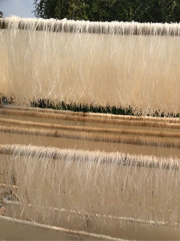 Miến khoai lang Điện Biên