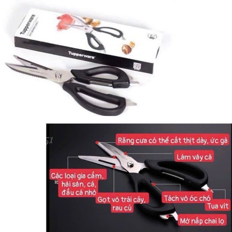 𝗞𝗲́𝗼 đ𝗮 𝗻𝗮̆𝗻𝗴 𝗣𝗿𝗼-𝗔𝘀𝗶𝗮𝗻 TUPPERWARE