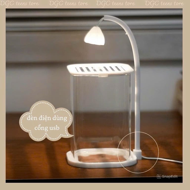 Bể cá mini để bàn