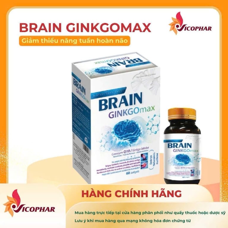 brain ginkgo Faco h/30v bổ não