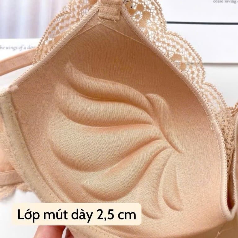 Áo Lót Xuất Nhật Đệm Mỏng Không Gọng Dáng Vát Ôm Ngực