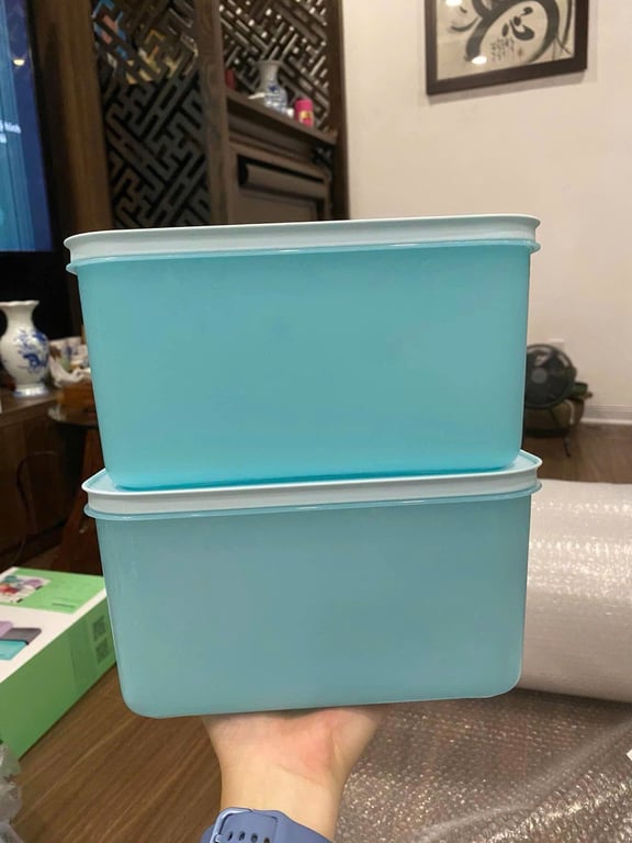 Tupp đông dẻo 2.5L