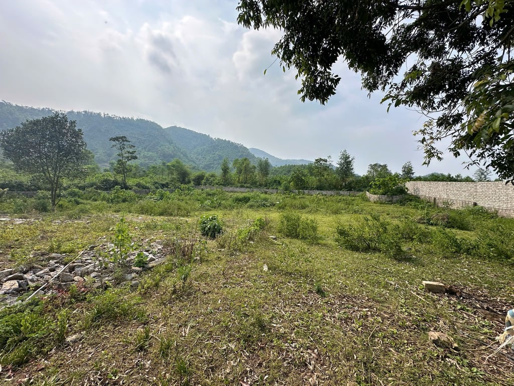 2144m2 có 1900m2 ONT tại Lương Sơn, Hoà Bình