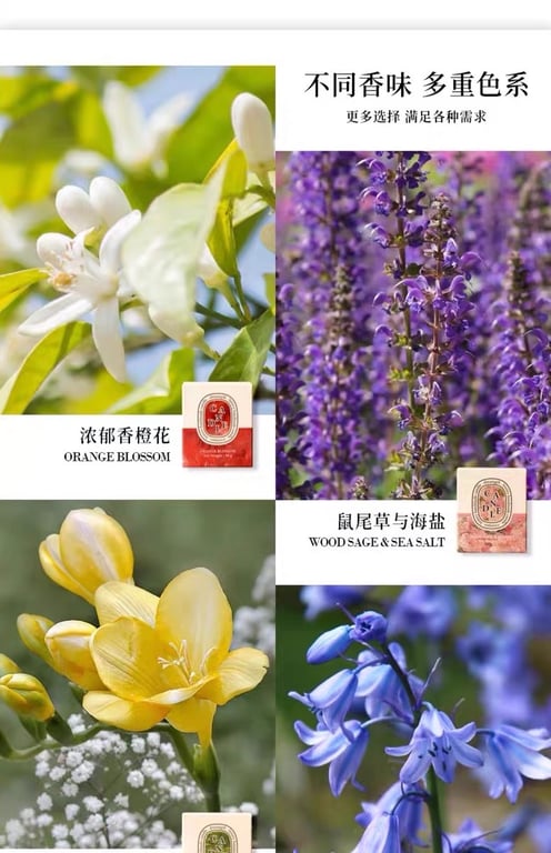 SET NẾN CANDLE CÓ HỘP