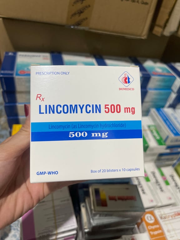 Lincomycin 500 dmc h/200v