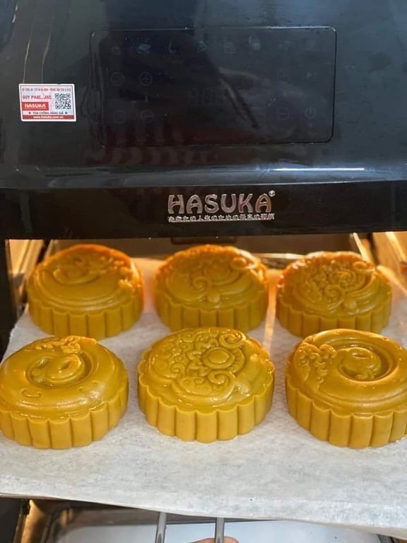 Nồi chiên không dầu HASUKA  Hsk-359 12 lít