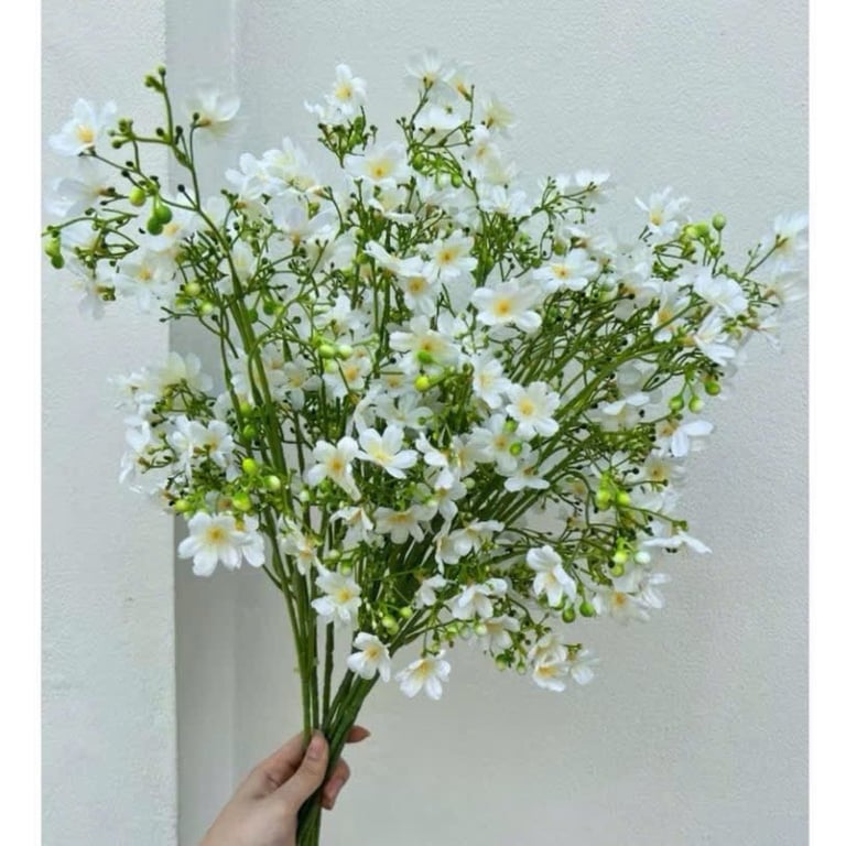 10 Cành Nhất Chi Mai