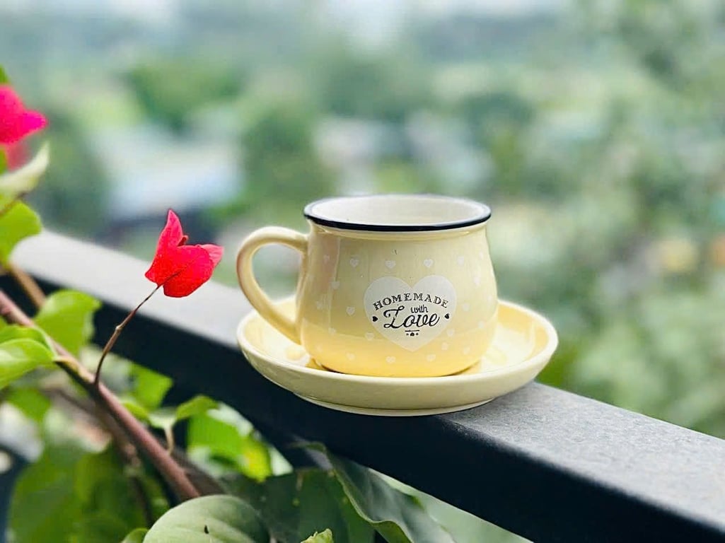 Bộ  Cốc sứ kèm đĩa cao cấp siêu xinh, dễ thương