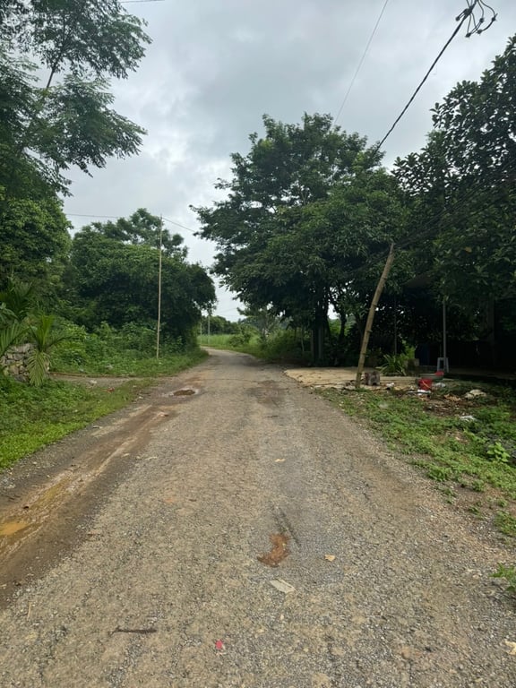 ~ 1100m2  có 60m2 ONT tại Mỹ Hoà, Tân Lạc, Hoà Bình.