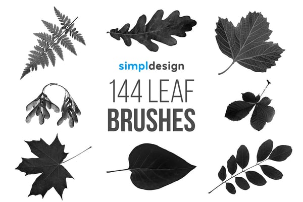 144 Leaf Photoshop Brushes