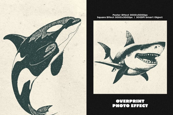 Overprint Square And Poster Photo Effect