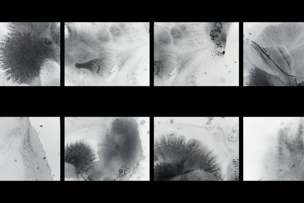Ink Pack 1