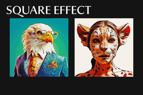 Vector Art Square And Poster Photo Effect