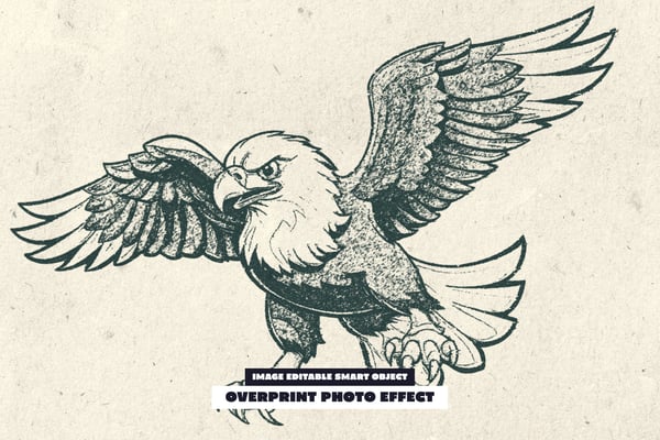 Overprint Photo Effect