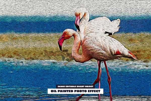 Oil Painted Photo Effect