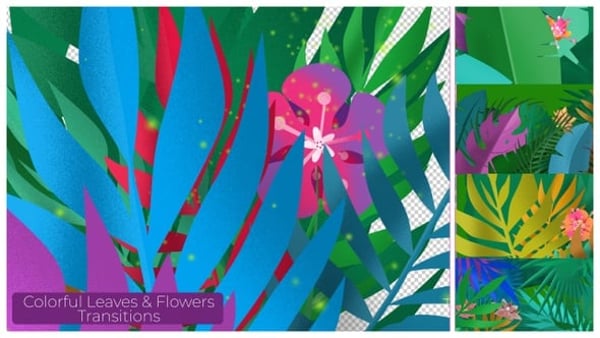 Colorful Plants and Flowers Transitions