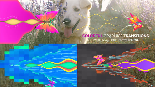 Colorful Fluid Shape Transitions with Butterflies
