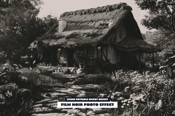 Film Noir Photo Effect