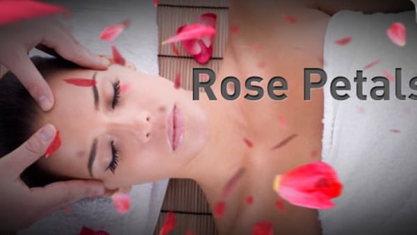 Romantic Falling Rose Petals and Wind Blown Petals Overlays