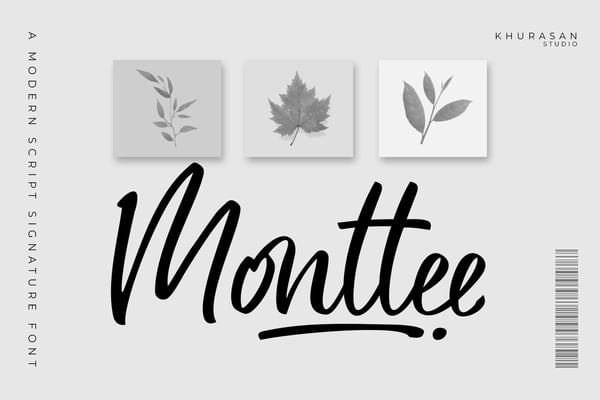Monttee - A Modern Script Signature Font