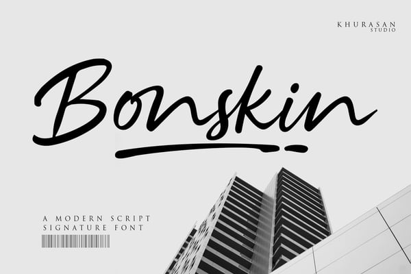 Bonskin - A Modern Script Signature Font