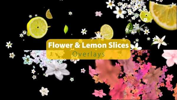 Flowers & Lemon Slices on Alpha