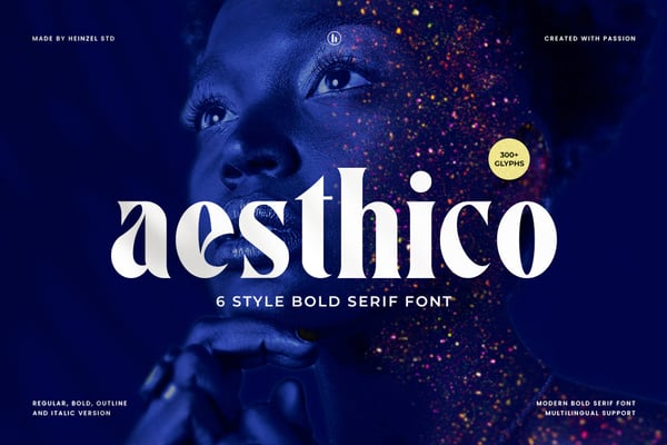 Aesthico Serif Font Family (6 Fonts)