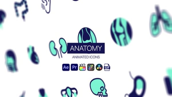 Anatomy Animated Icons - Human Body Medical Motion Icons Animation Pack