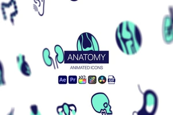 Anatomy Animated Icons - Human Body Medical Motion Icons Animation Pack