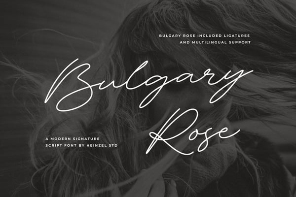 Bulgary Rose Signature Script Font