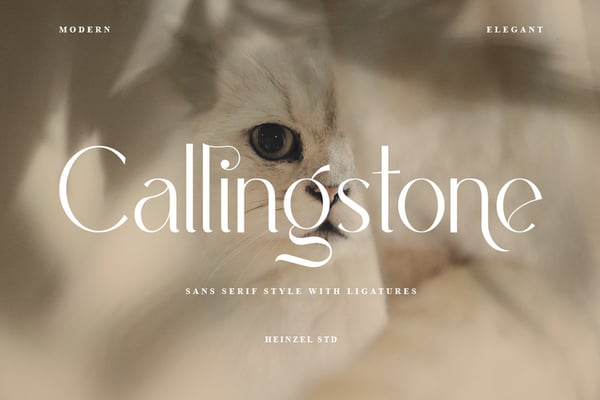 Callingstone Modern Sans Serif Font