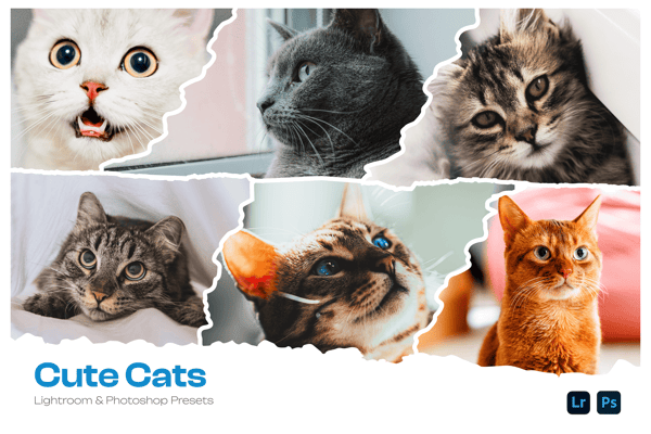 Cute Cats Lightroom Presets