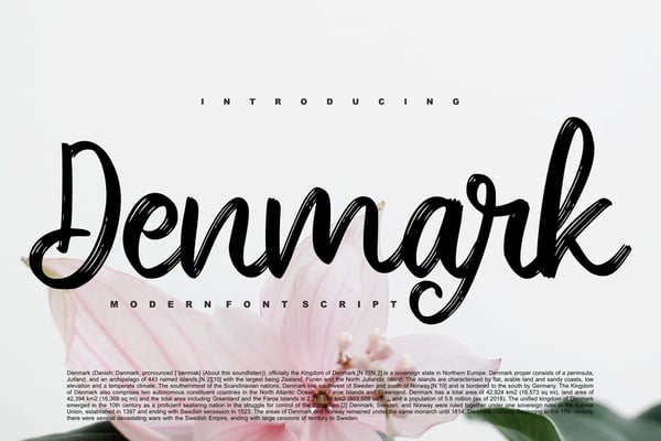 Free Denmark - Modern Brush Font Script