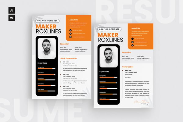 Professional CV Resume