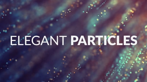 Elegant Particles
