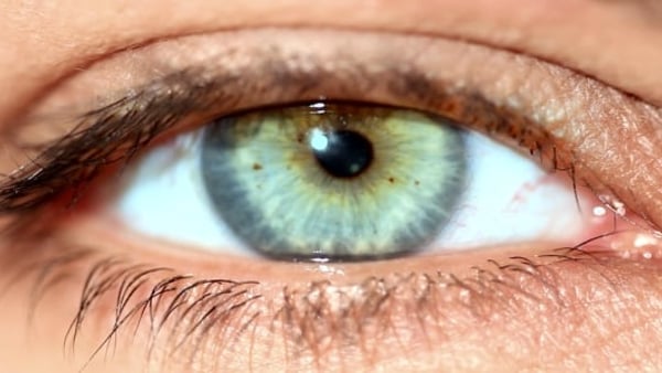 Eye          (Stock Footage)