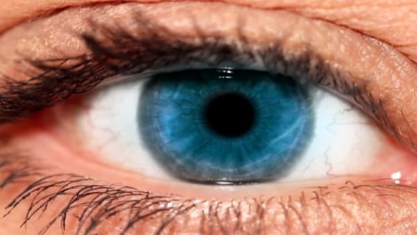 Eye Zoom In          (Stock Footage)