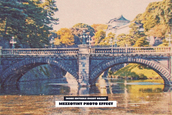 Mezzotint Photo Effect