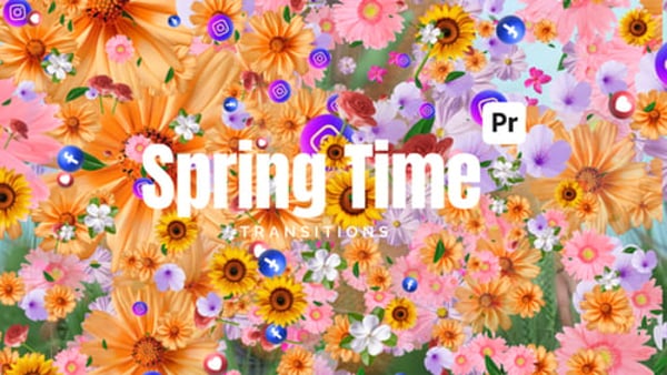 Floral Particle Transitions for Premiere Pro | 12 Spring MOGRT Effects