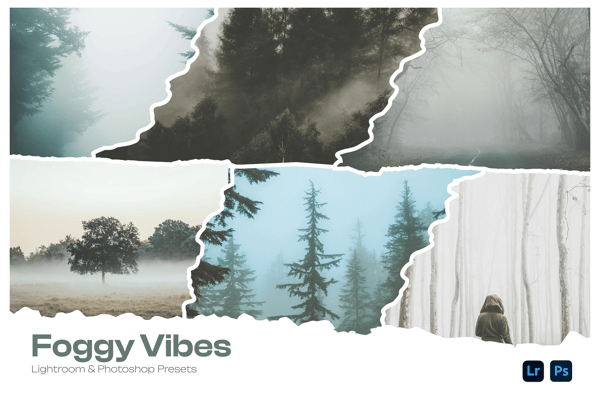 Foggy Vibes Lightroom Presets