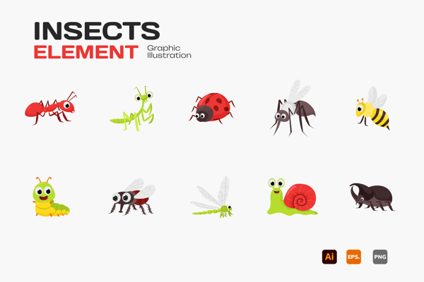 Insects Collection