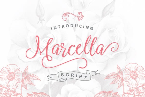 Marcella Script