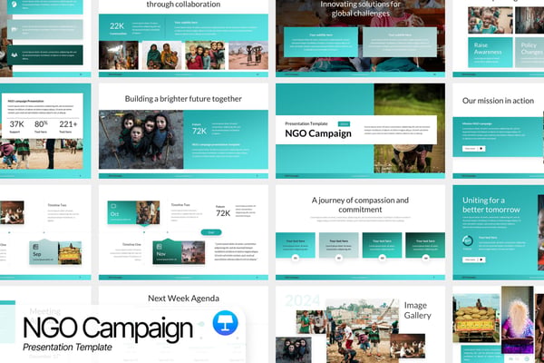 NGO Campaign Presentation