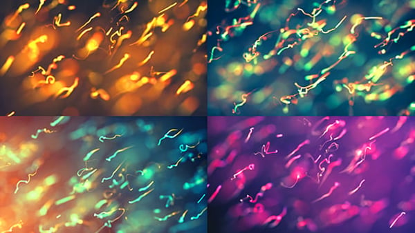 Original Particles