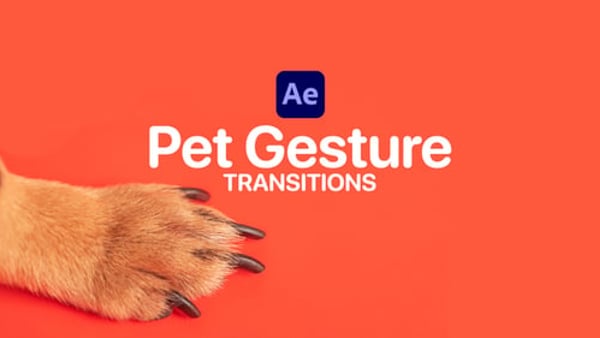 Pet Gesture Transitions for After Effects – 12 Animated Cat & Dog Overlays