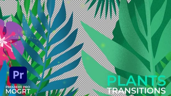 Plants Transitions