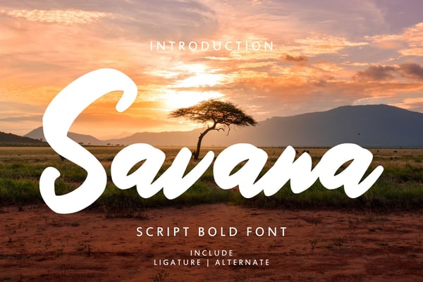 Free Savana - Script Bold Font